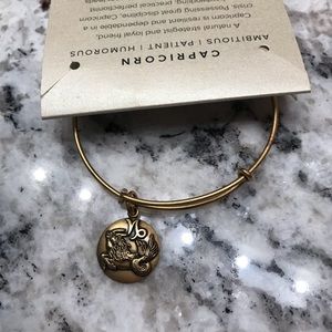 Alex and Ani gold tone Capricorn bangle.